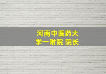 河南中医药大学一附院 院长